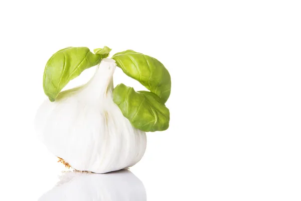 Garlic and basil — Stock Photo, Image