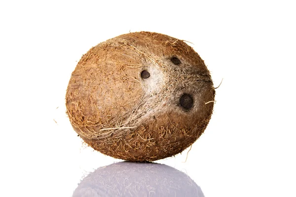 Coconut — Stock Photo, Image