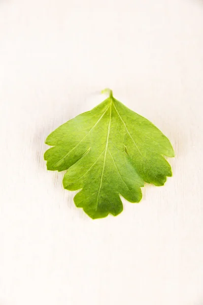 Salsa verde — Fotografia de Stock