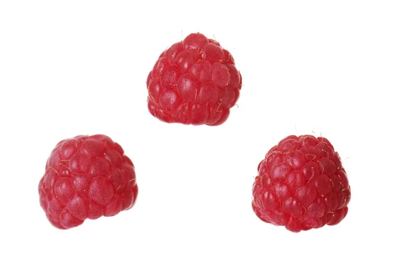 Raspberries — Stock Photo, Image