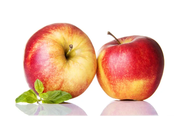 Apples — Stock Photo, Image