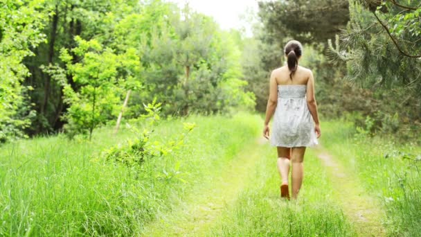 Jeune femme dans un bois . — Video