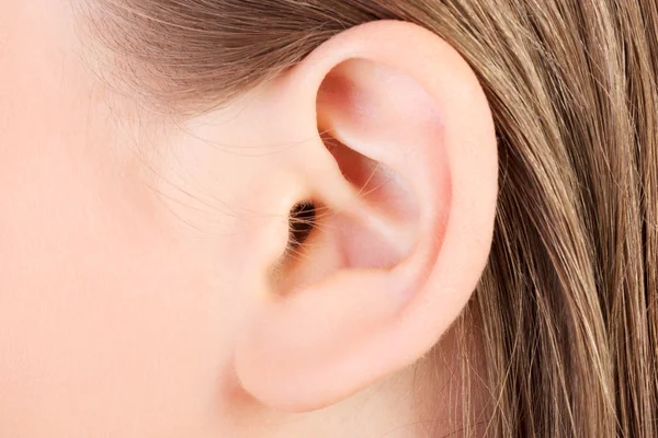 Young caucasian woman ear closeup. Stockbild