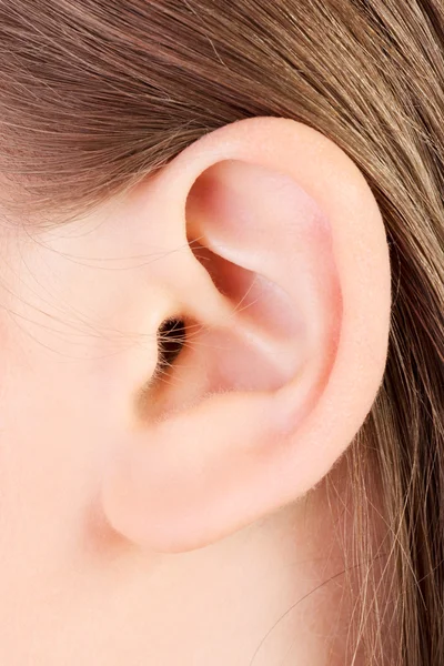 Young caucasian woman ear closeup. Stockbild