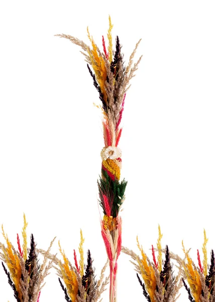 Palma de Páscoa colorida — Fotografia de Stock