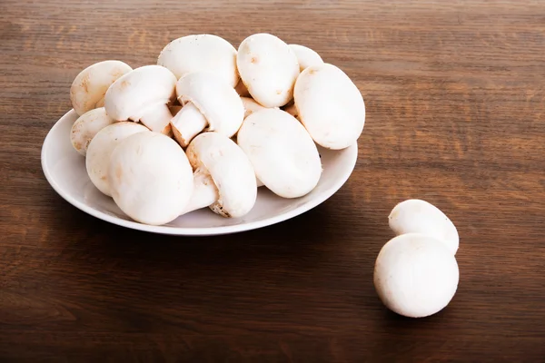 Champignon Ordförande — Stockfoto