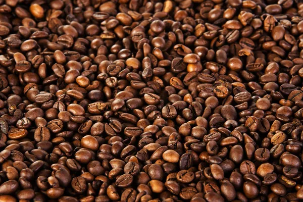 Coffee beans — Stock Photo, Image