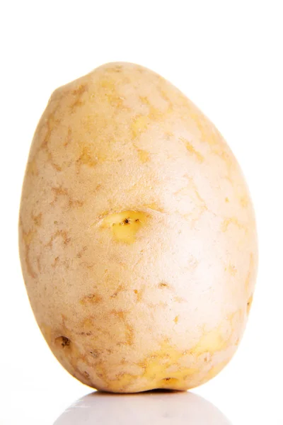 Potato — Stock Photo, Image