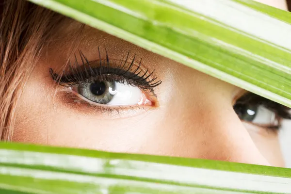 Primo piano dettagliato dell'occhio femminile tra materiale verde . — Foto Stock