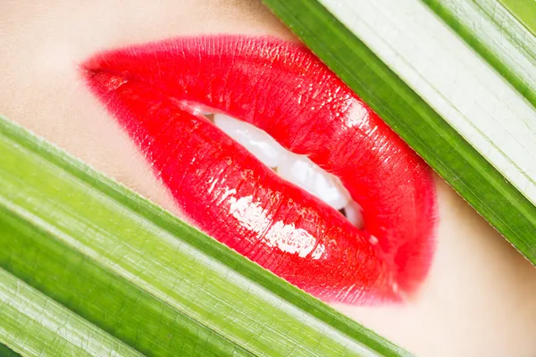 Red lips closeup wit green material on both sides. — Stock Photo, Image