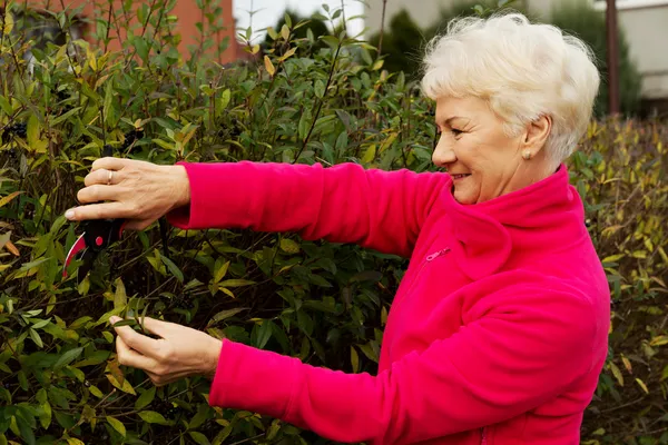 An old lady is cutting bushes. — Stock Photo, Image