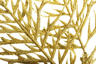 Altın, ayrı bir dal, resmi yakın.