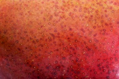 apple'nın cilt üzerinde makro çekim.