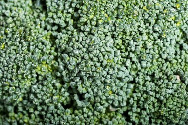 yeşil, taze broccolli üzerinde kapat.