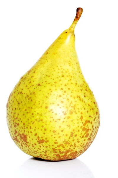 One fresh pear over white. — Stock Photo, Image