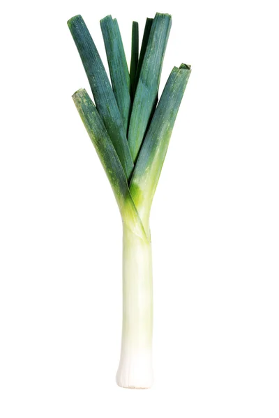 Fresh, green leek over white. — Stock Photo, Image