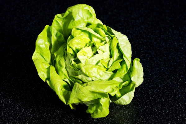 Frischer, grüner Salat. horizontale Ansicht. — Stockfoto