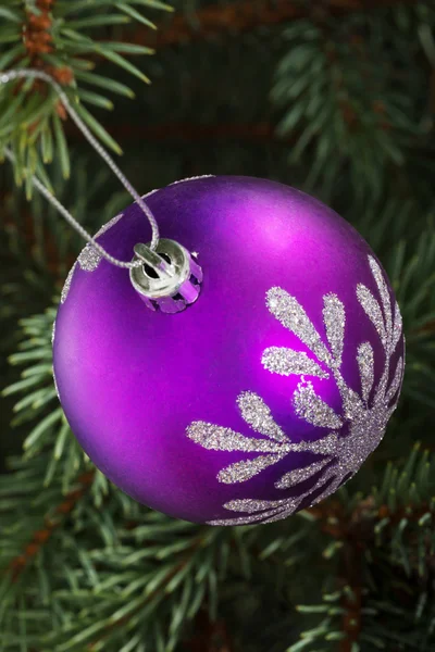 Une boule de Noël violette accrochée à un arbre . — Photo