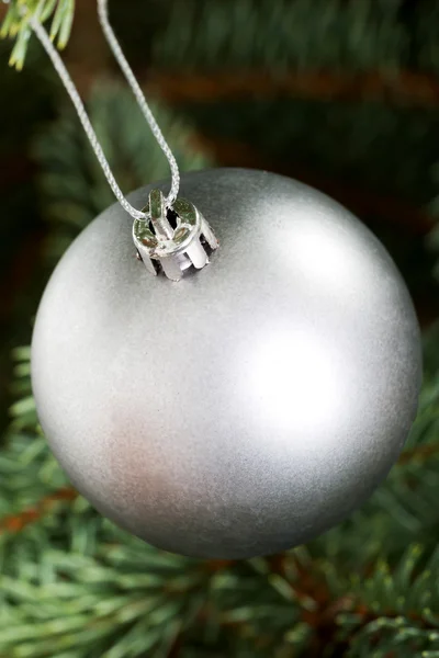 Una bola de navidad de plata entregando un árbol . — Foto de Stock