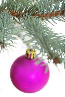 tek bir dal teslim Noel top ayrılmış.