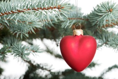 tek bir dal teslim Noel top ayrılmış.