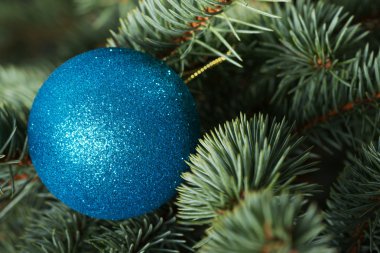 bir Noel topu yere ağaç.