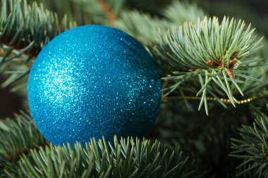 bir ağaç üzerinde bir Noel top.