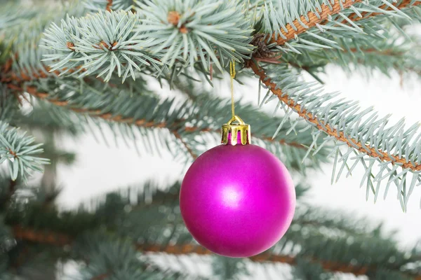 One separated christmas ball handing on a twig. — Stock Photo, Image