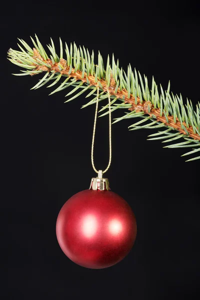 一个圣诞球挂上一根小树枝. — 图库照片