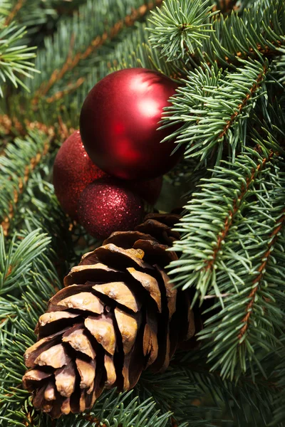 Weihnachtsschmuck - Kiefer, Kugeln auf einem Baum. — Stockfoto