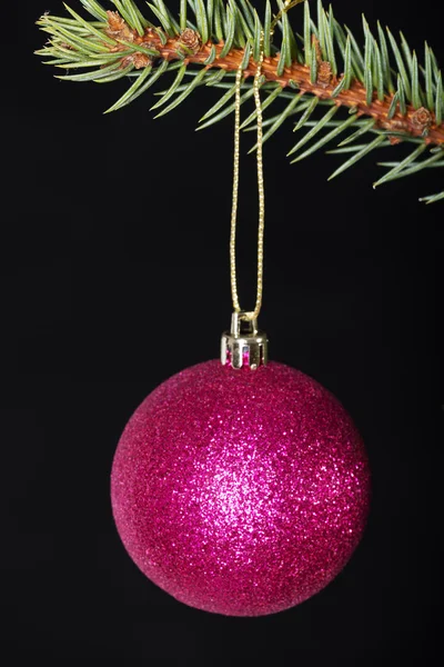 小枝に渡す 1 つのクリスマス ボール. — ストック写真