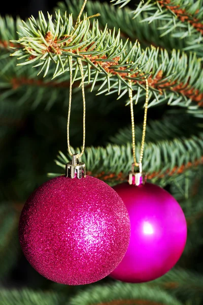 Kaksi joulukuusen palloa roikkuu puussa . — kuvapankkivalokuva