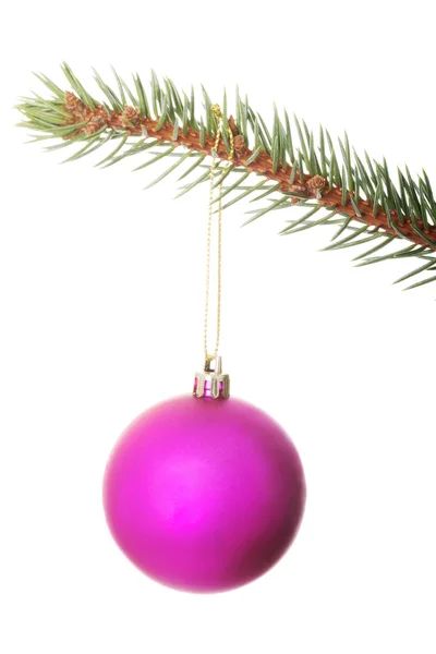 一个分离的圣诞球挂上一根小树枝. — 图库照片