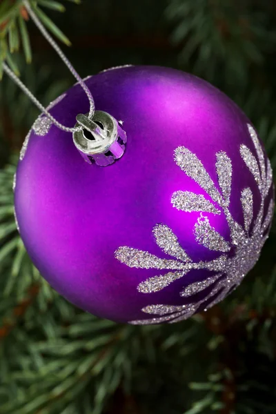 One christmas ball handing on a twig. — Stock Photo, Image