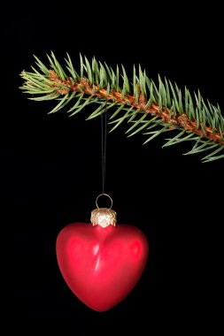 bir kırmızı Noel top yeşil tır üzerinde.