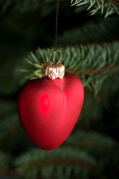 Une boule de Noël rouge sur le tir vert . — Photo