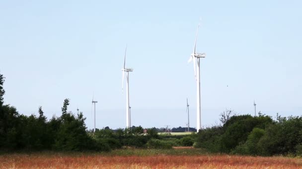 可再生能源风力发电机组 — 图库视频影像