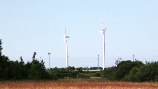 Turbina eólica - fonte de energia renovável — Vídeo de Stock