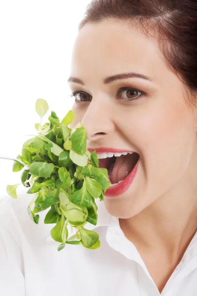 Young business woman eating lettuce. — Stock Photo, Image