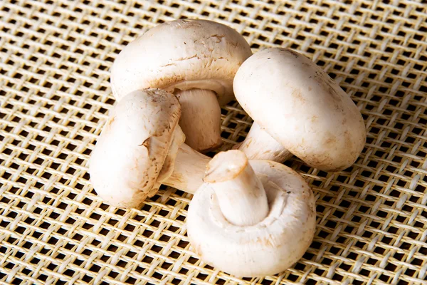 Fresh mashrooms, champignons — Stock Photo, Image