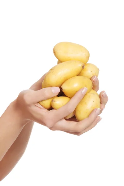 Raw potatores are held by a caucasian woman. — Stock Photo, Image