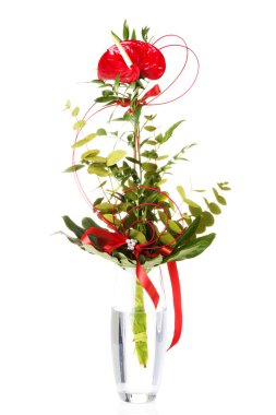 bir kırmızı calla çiçek vazo içinde.