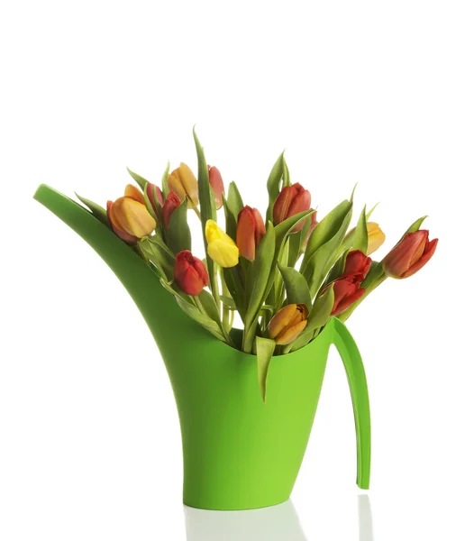 Букет свежих живых тюльпанов . — стоковое фото
