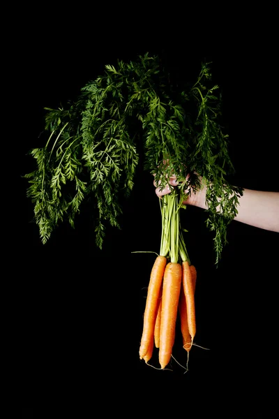 Bunch of fresh raw carrots. — Stock Photo, Image