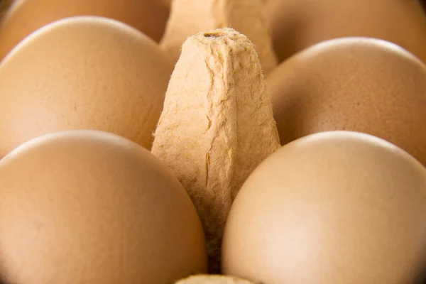 Zblízka na syrových vajec — Stock fotografie