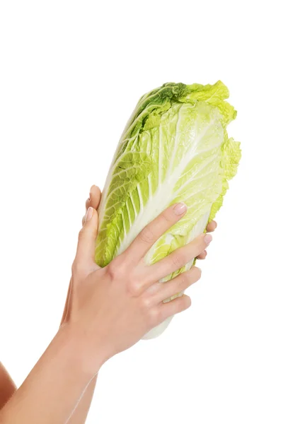Свежий зеленый айсберг салат в руке женщины . — стоковое фото