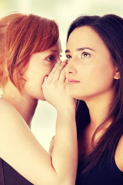 Frauen reden Klatsch und Tratsch — Stockfoto