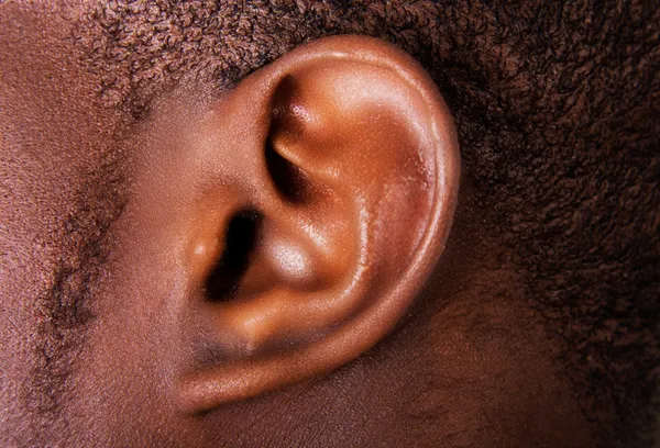 Oreja masculina negra — Foto de Stock