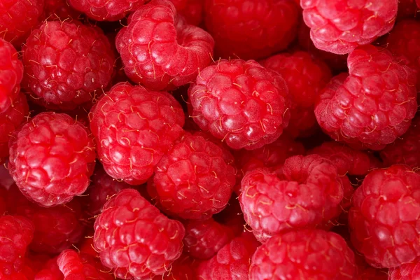 The raspberries. — Stock Photo, Image
