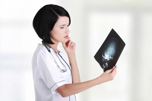 Médico o enfermera mirando una foto de radiografía —  Fotos de Stock